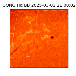 gong - 2025-03-01T21:00:02