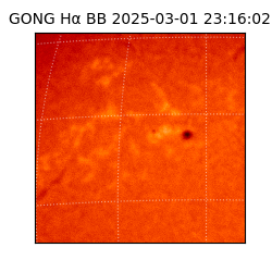 gong - 2025-03-01T23:16:02
