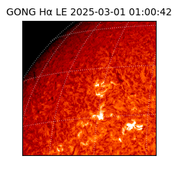 gong - 2025-03-01T01:00:42