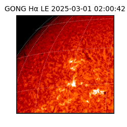 gong - 2025-03-01T02:00:42