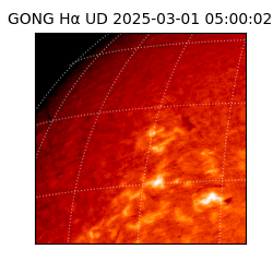 gong - 2025-03-01T05:00:02