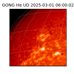 gong - 2025-03-01T06:00:02