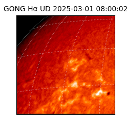 gong - 2025-03-01T08:00:02