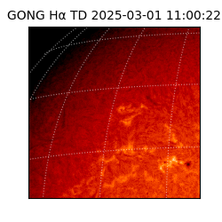 gong - 2025-03-01T11:00:22