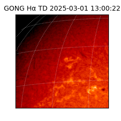 gong - 2025-03-01T13:00:22