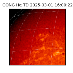 gong - 2025-03-01T16:00:22