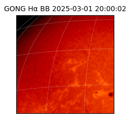 gong - 2025-03-01T20:00:02