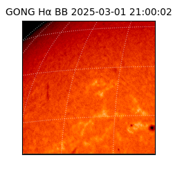 gong - 2025-03-01T21:00:02