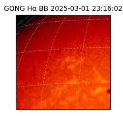 gong - 2025-03-01T23:16:02