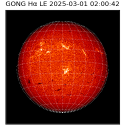 gong - 2025-03-01T02:00:42