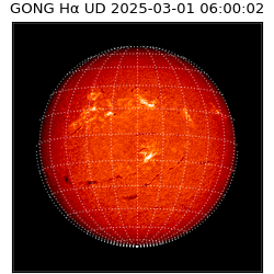 gong - 2025-03-01T06:00:02