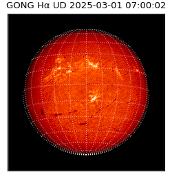 gong - 2025-03-01T07:00:02