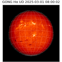 gong - 2025-03-01T08:00:02