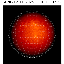 gong - 2025-03-01T09:07:22