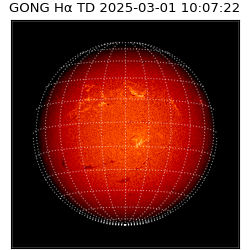 gong - 2025-03-01T10:07:22