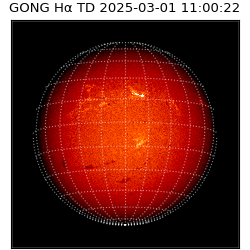 gong - 2025-03-01T11:00:22