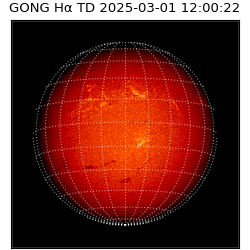 gong - 2025-03-01T12:00:22