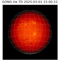 gong - 2025-03-01T15:00:22