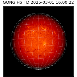 gong - 2025-03-01T16:00:22