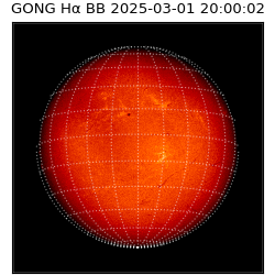 gong - 2025-03-01T20:00:02