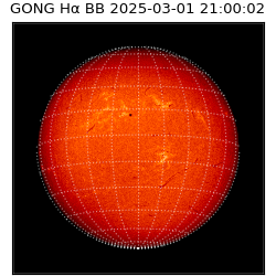 gong - 2025-03-01T21:00:02