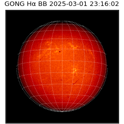 gong - 2025-03-01T23:16:02