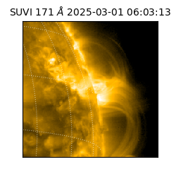 suvi - 2025-03-01T06:03:13.480000