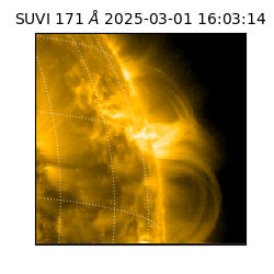 suvi - 2025-03-01T16:03:14.968000