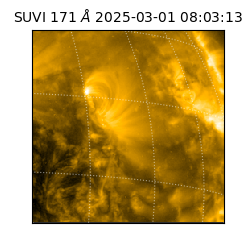 suvi - 2025-03-01T08:03:13.778000