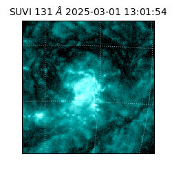 suvi - 2025-03-01T13:01:54.510000