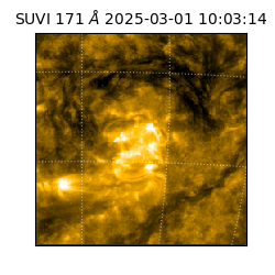 suvi - 2025-03-01T10:03:14.076000