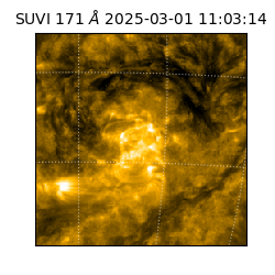 suvi - 2025-03-01T11:03:14.224000