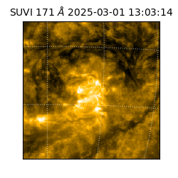 suvi - 2025-03-01T13:03:14.520000