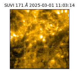 suvi - 2025-03-01T11:03:14.224000