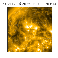 suvi - 2025-03-01T11:03:14.224000