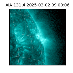 saia - 2025-03-02T09:00:06.622000