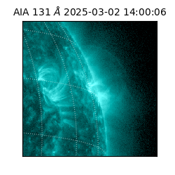 saia - 2025-03-02T14:00:06.625000