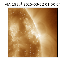 saia - 2025-03-02T01:00:04.843000
