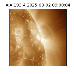 saia - 2025-03-02T09:00:04.843000