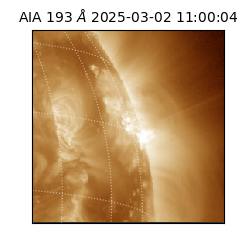 saia - 2025-03-02T11:00:04.843000