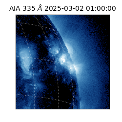 saia - 2025-03-02T01:00:00.632000