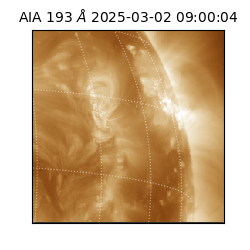 saia - 2025-03-02T09:00:04.843000