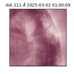 saia - 2025-03-02T01:00:09.626000