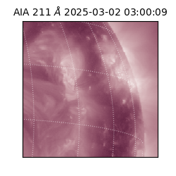 saia - 2025-03-02T03:00:09.630000
