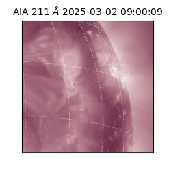 saia - 2025-03-02T09:00:09.634000