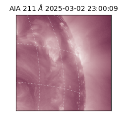 saia - 2025-03-02T23:00:09.615000