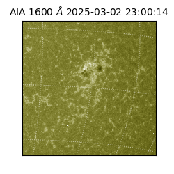 saia - 2025-03-02T23:00:14.125000