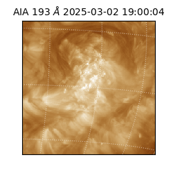 saia - 2025-03-02T19:00:04.843000