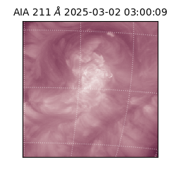 saia - 2025-03-02T03:00:09.630000