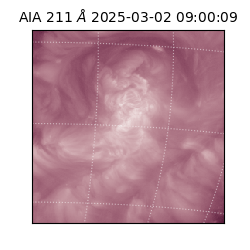 saia - 2025-03-02T09:00:09.634000